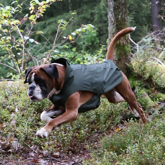 Regntäcke "Milou"