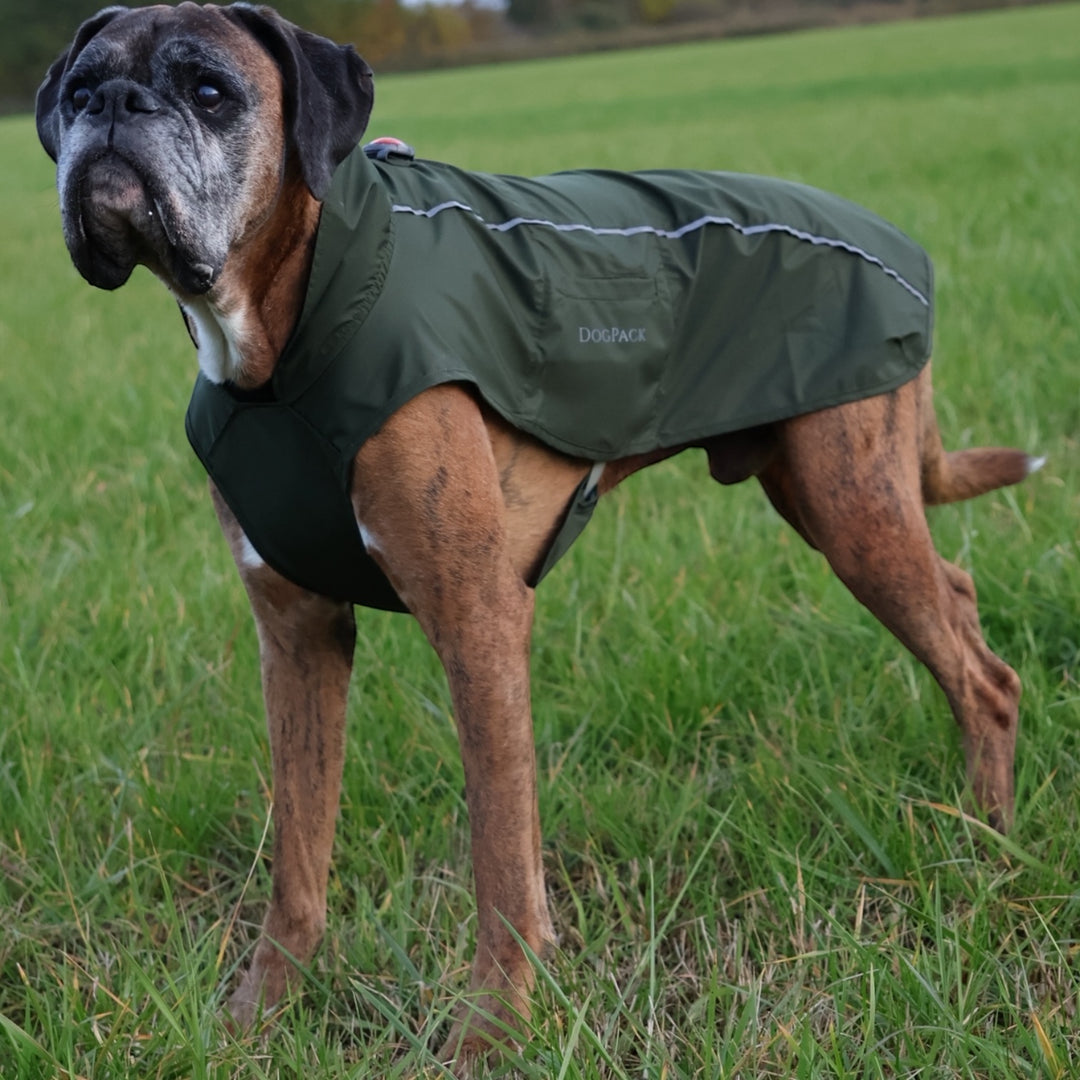 Regntäcke "Milou"